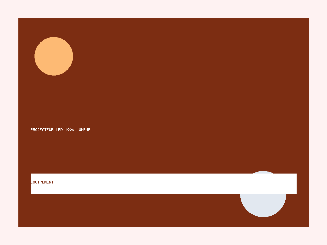 Projecteur LED 1000 lumens